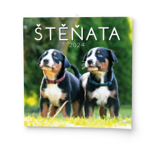Nástěnný kalendář - Štěňata