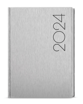Denní diář - David - ForMen - A5 - Silver