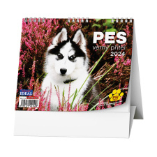 Stolní kalendář - IDEÁL - Pes - věrný přítel /s psími jmény/