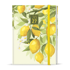 Denní diář - Adam - Lamino - B6 - Citron