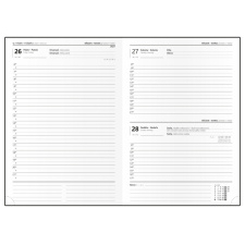 Denní diář - David - ForMen - A5 - Grey