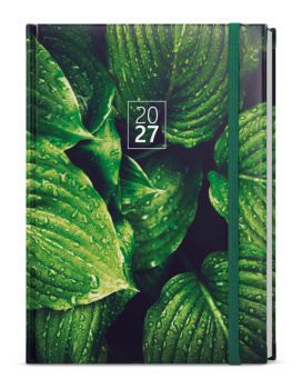 Denní diář - David - Lamino - A5 - Listy