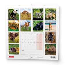 Nástěnný kalendář - Zvířátka